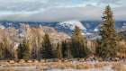 Wyoming, Grand Teton NP, Jackson. Panoramic view of elk traveling near the Gros Ventre River Art Print